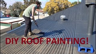 How To Paint Your Roof With A Broom