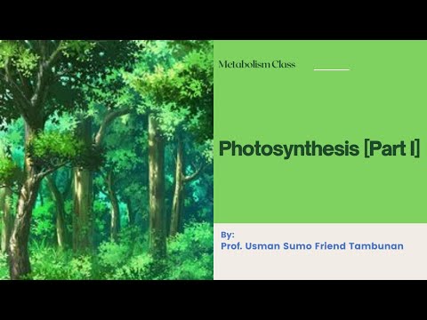 PHOTOSYNTHESIS [PART I]