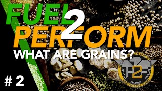 Fuel2Perform - Understanding Grains