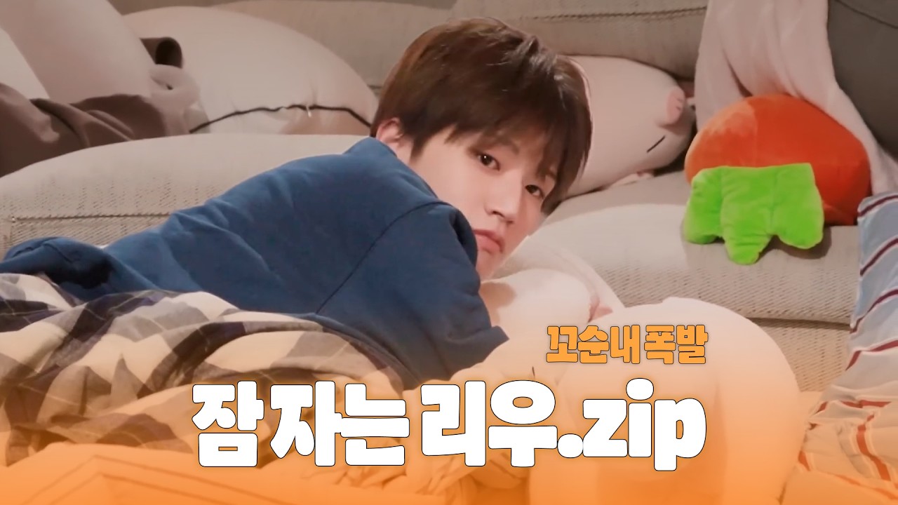 잠 자는 리우.zip