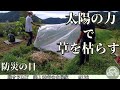 【脱サラ古民家DIY】太陽の力で除草が出来る!?太陽熱消毒 オオムラサキ放蝶会 EENOUR発電機 DK1800iA 防災の日 No.128