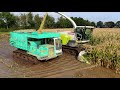 Maize harvest in extreme wet soil conditions  | Claas Jaguar 940 & Kato track dumpers | GM Damsteegt