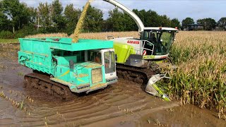 Maize harvest in extreme wet soil conditions | Claas Jaguar 940 & Kato track dumpers | GM Damsteegt