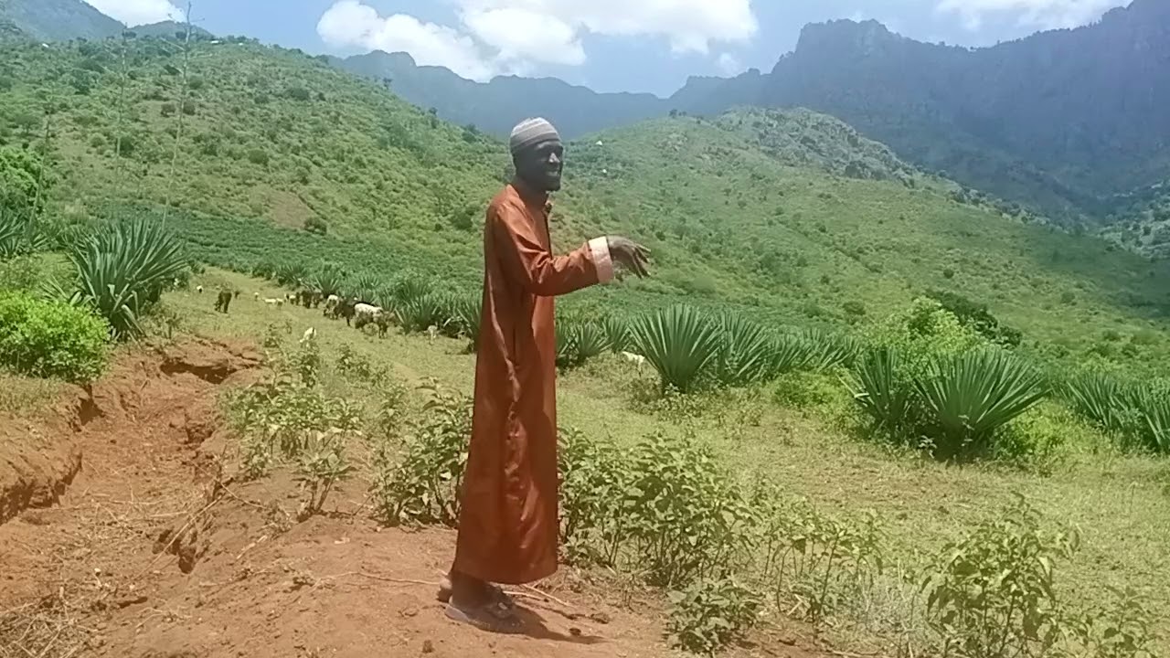 TUSIKASHIFU WATU MAANA HAYA PIA KAFANYA MTUME PUNZI ISIKUPE KBRI