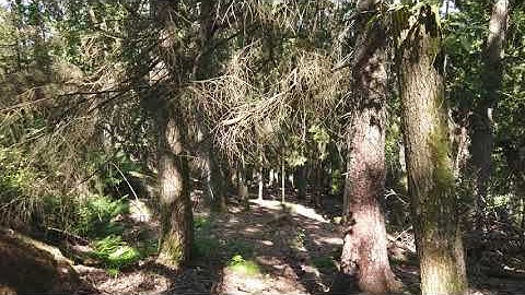 Will the service layer cause Anemic domain models?