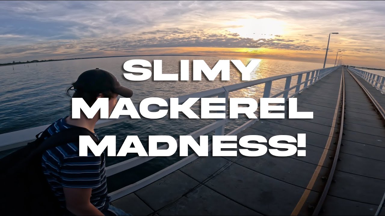 Squid & Slimy Mackerel Madness! | Fishing of Busselton jetty
