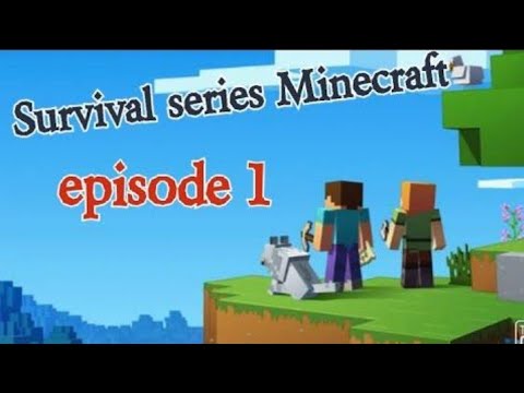 Minecraft playing 