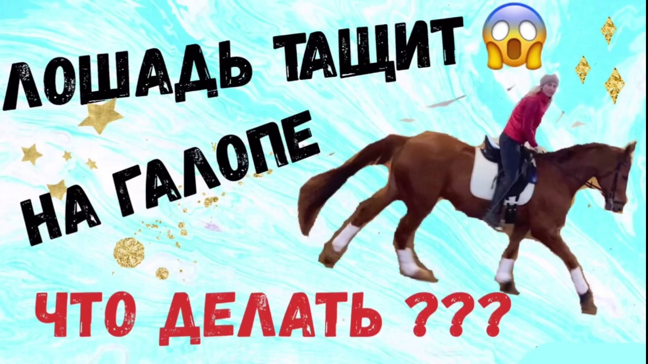 Лошадь тащит машину