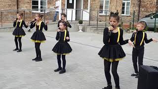 Video thumbnail of "Мы хомяки и мы хомячим. Май 2019. Благотворительный концерт."