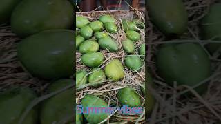 subscribe #summer #mango #shorts #food #yummy #cooking #eating #travel #trending #shortsfeed #love #