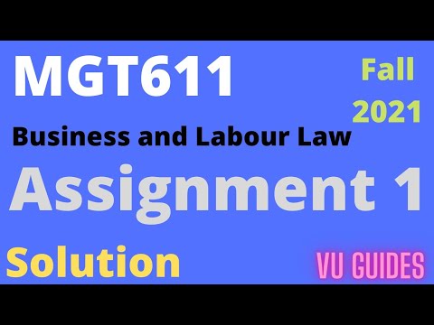 mgt611 assignment 1 solution fall 2022