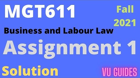 MGT611 Assignment 1 Solution 2022/ MGT611 Assignment 1 Solution Fall2021 #vu #assignment #mgt611