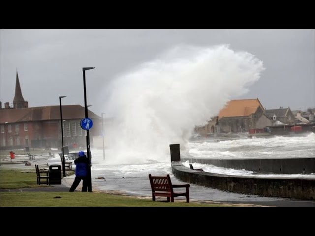 CROWDED HOUSE   WEATHER WITH YOU