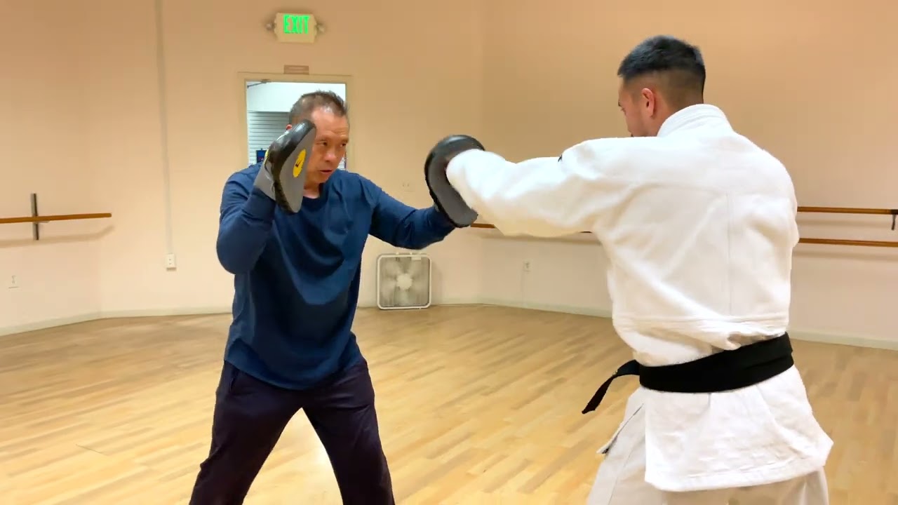 Everlast Mantis Boxing Mitts