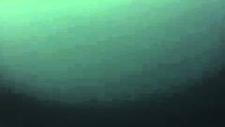 Ice fishers catch glimpse of Lake Michigan Monster