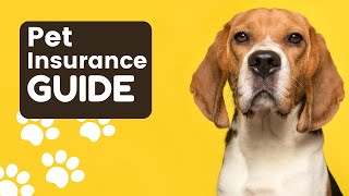 Pet Insurance Guide