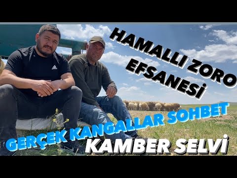 Hamalli KAMBER SELVİ BARIŞ ÇİÇEK ÜRETİMİ HAMALLI ZORO VE GEÇMİŞ DÖNEM KANGALLAR ...