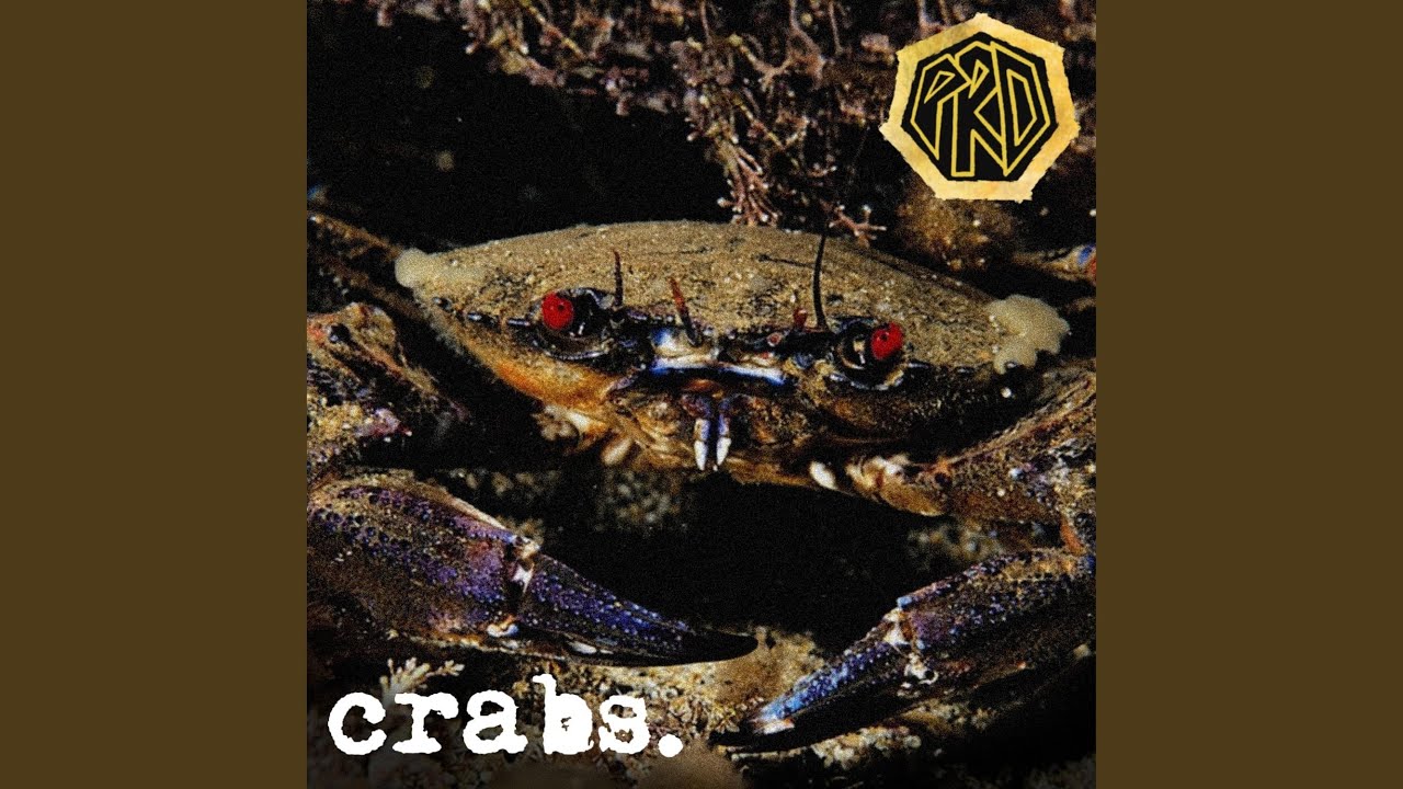 Watch Crabs on YouTube Watch Crabs on YouTube