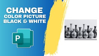 How to Change a Color Picture to Black and White in MS Publisher Document Ms Publisher Changing Deign Color