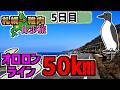 【疲労】絶景オロロンラインを50km歩く！日が暮れる前に到着せよ！札幌→稚内368㎞徒歩旅Part.4【5日目】