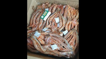 Khô Cá Lóc 3 nắng đi Nước Ngoài - Ướp sẵn, đóng gói 500g - LH: 0903 602 763