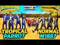 TROPICAL PARROT M1887 VS NORMAL M1887 || 4 VS 4 FACTORY CHALLENGE || WHO WILL WIN ? || EPIC FIGHT ||