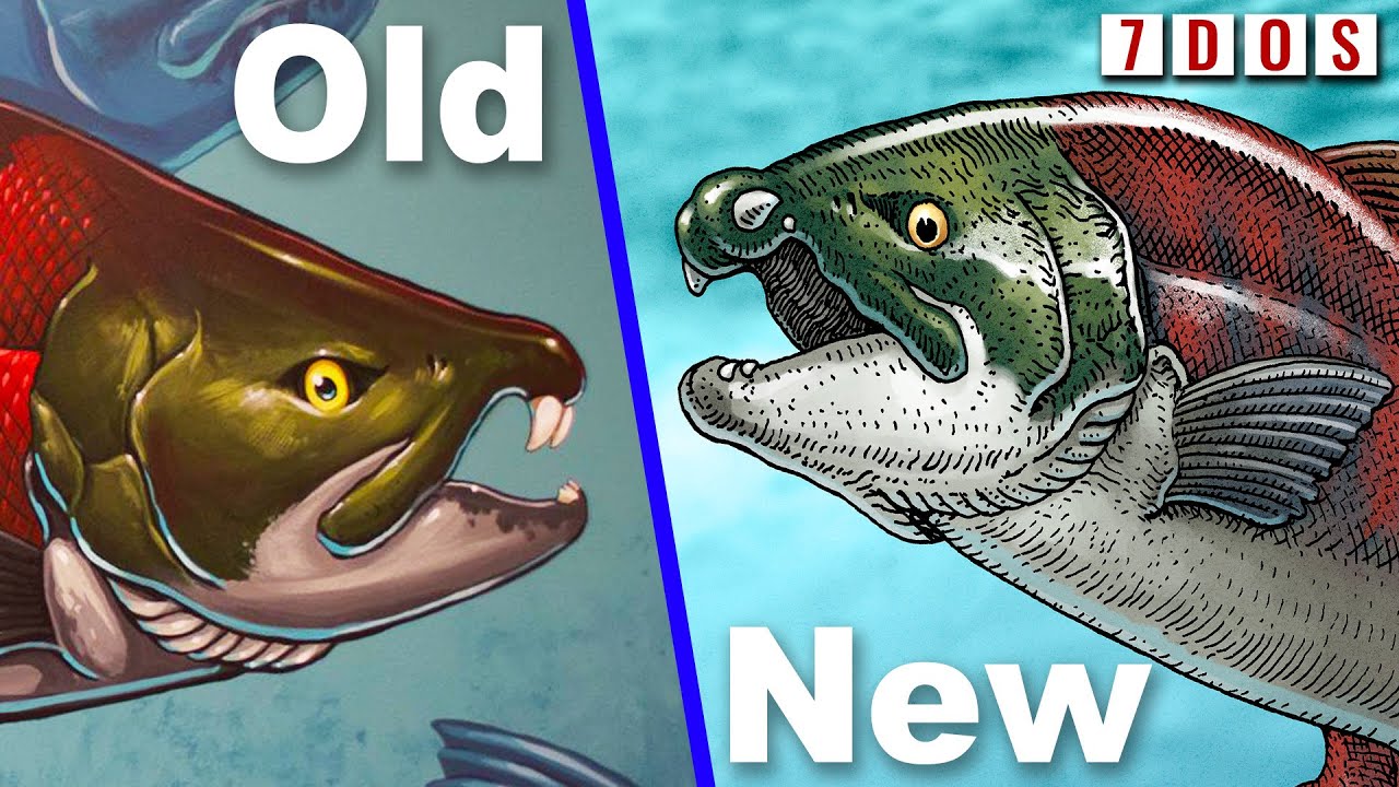 The Saber-Toothed Salmon Never Existed? | 7 Days of Science
