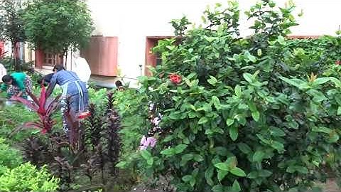 "Together, We Can" project ING, FMA Guwahati Province, India