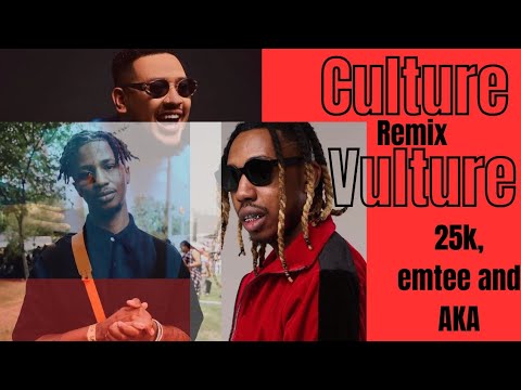 Culture Vulture – 25K, Emtee & AKA | Lyrics