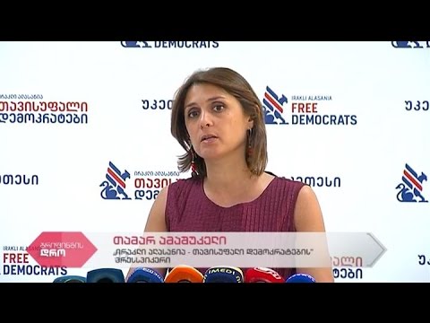 \"ირაკლი ალასანია-თავისუფალი დემოკრატების\" პრესსპიკერის თამარ ამაშუკელის ბრიფინგი