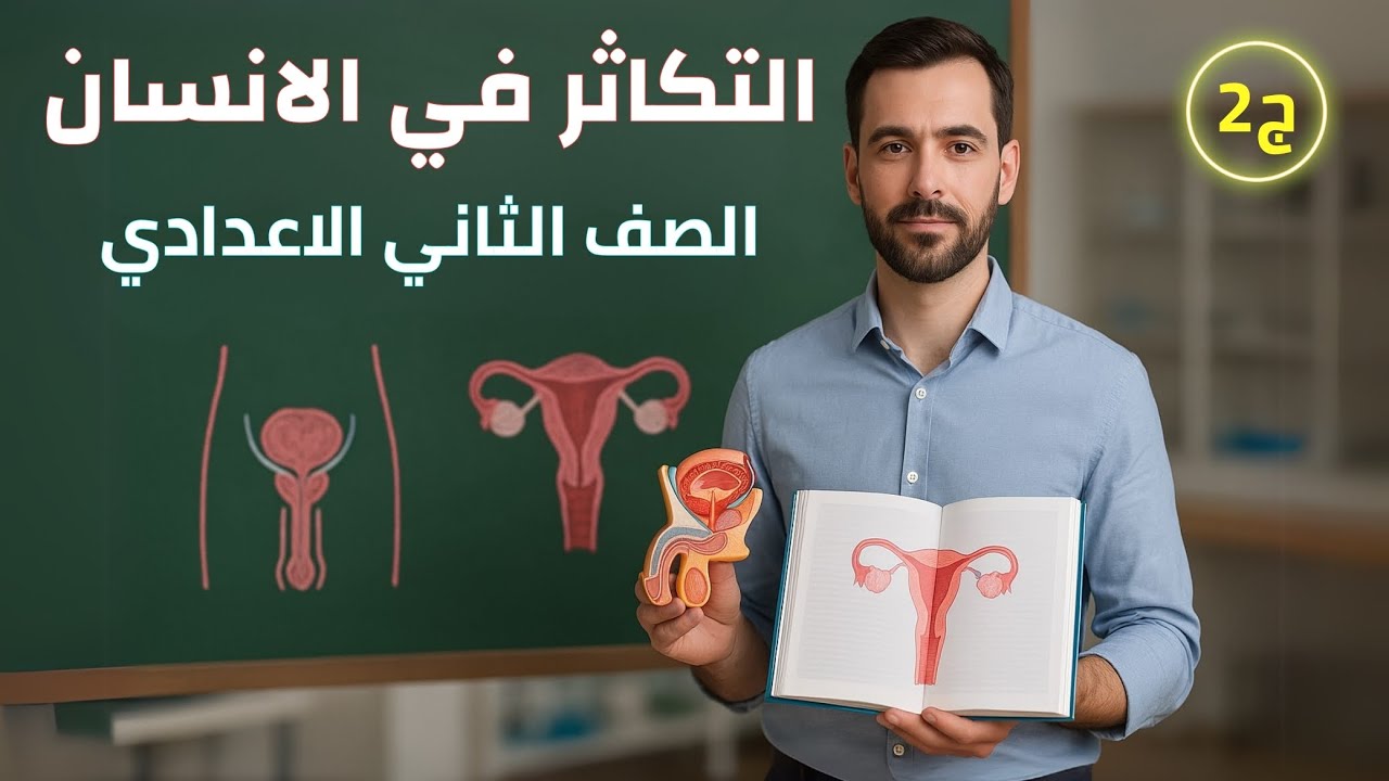 افضل شرح لدرس التكاثر في الانسان، شرح درس التكاثر في الانسان  الصف الثاني الاعدادي الترم الثاني