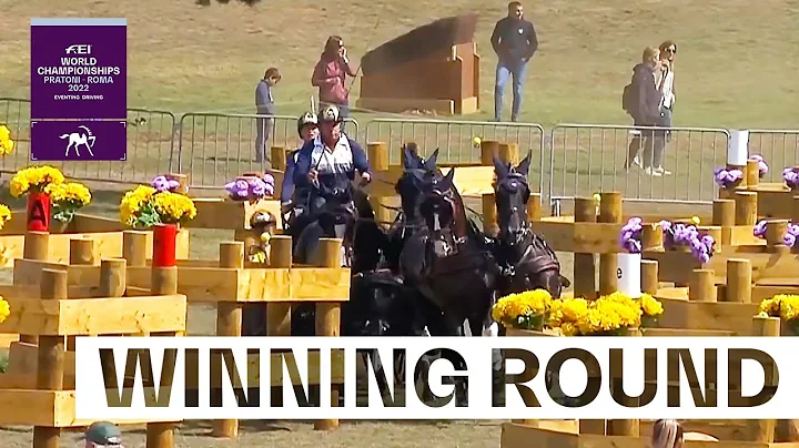 Boyd Exell WINNING ROUND | FEI Driving World Champ...