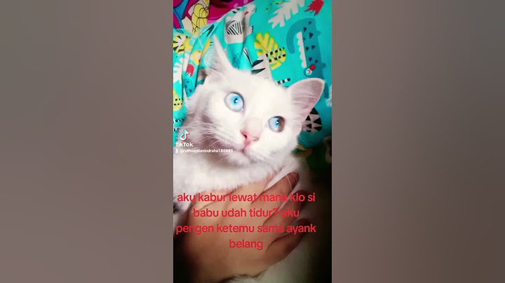 aku kabur lewat mana?