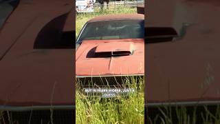 They found the project car… #shorts