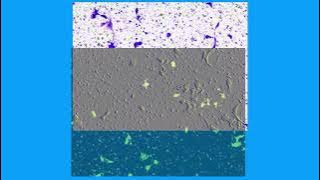 F83C2C142C640040FB8EB4F15AEB71#1