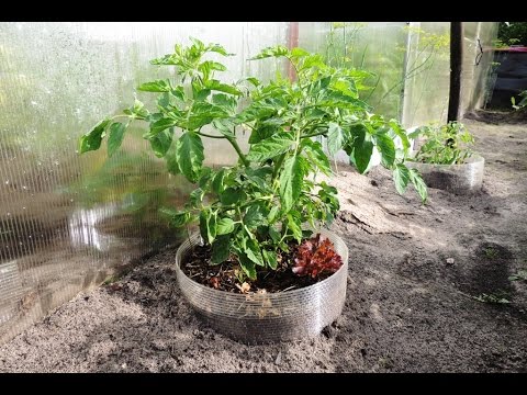 Красивая и простая 🌻🌹🌷 клумба из поликарбоната за 3 минуты (flowerbed).