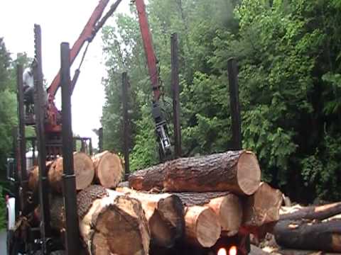 Loading logs in Chester, MA.