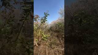 Terreno en venta en el Palomar