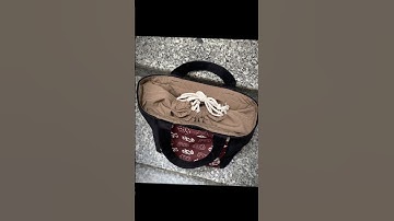 Tui đựng đồ hộp cơm trưa Đen Mèo Nâu có quai xách tiện lợi dành cho dân văn phòng