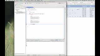 Celebrity 10 Java operators Profile