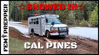 Stranded In California Pines | Solo Female Bus Life On The Road