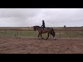 End of video