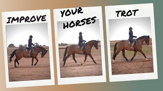 How To Improve Your Dressage Horses Trot