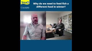 Why do we need to feed fish a different food in winter?
