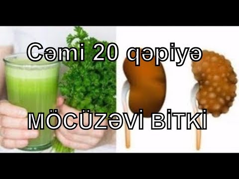 Video: Hibiscus çiçəklərinin bitkidən düşməsi üçün nə etməli