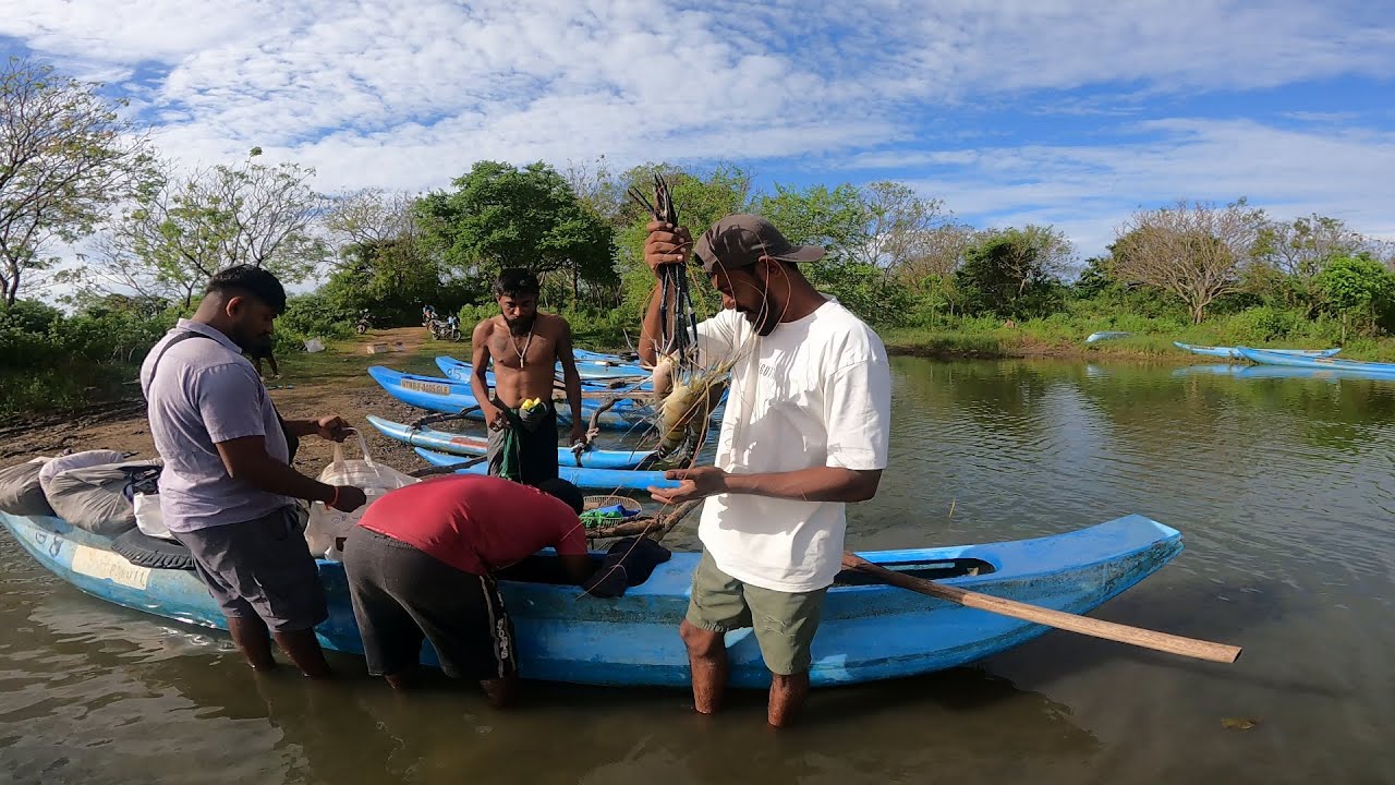 නිල් අණ්ඩෝ දඩයම 😮🇱🇰@IslandFishing2  පාන්දරට ඔරු තොටුපළ . Village Fishing In Sri Lanka