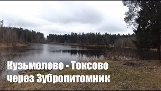 Велопрогулка: Кузьмолово - Токсово через Зубропитомник