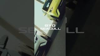 ELECTRIFY YOUR FIRST with the BYD Seagull