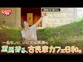 2026/5/30 じゃじゃじゃTV【特集】一生モノに、ジビエな薬膳も 薫風香る、古民家カフェ日和