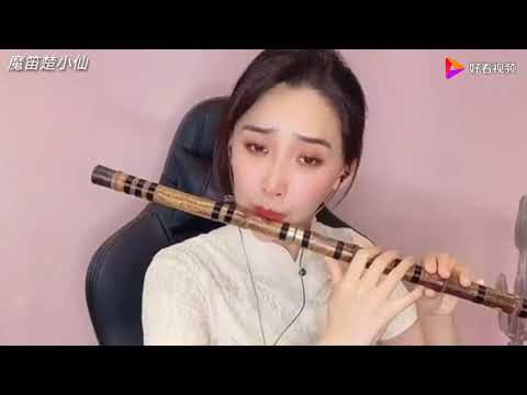 楚小仙笛子演奏：草原夜色美如画，繁星点点月高挂 好看视频